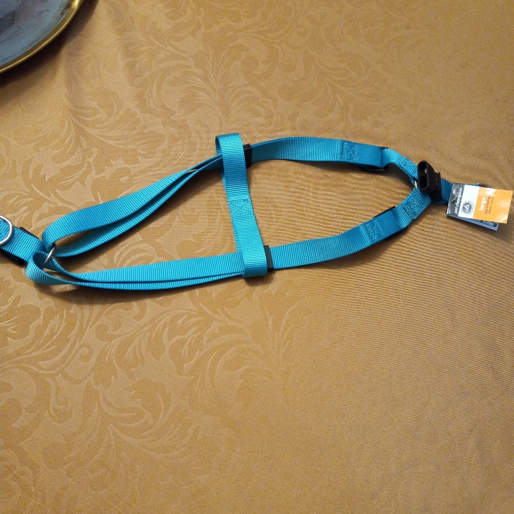 Pet champion large step in harness
